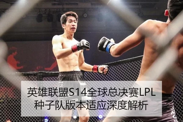 英雄联盟S14全球总决赛LPL种子队版本适应深度解析