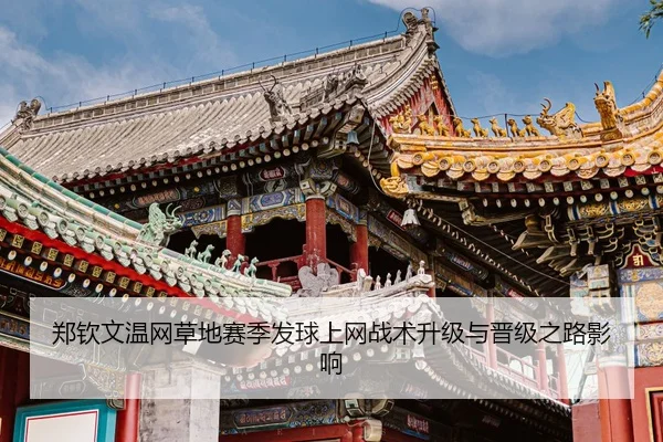 zheng-qin-wen-wen-wang-cao-di-sai-ji-fa-qiu-shang-wang-zhan-shu-sheng-ji-yu-jin-ji-zhi-lu-ying-xiang-3-833.jpg