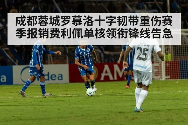 成都蓉城罗慕洛十字韧带重伤赛季报销费利佩单核领衔锋线告急