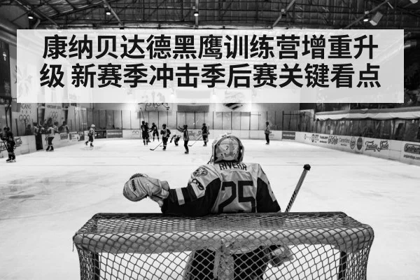康纳贝达德黑鹰训练营增重升级 新赛季冲击季后赛关键看点